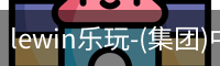 lewin乐玩-(集团)中国有限公司